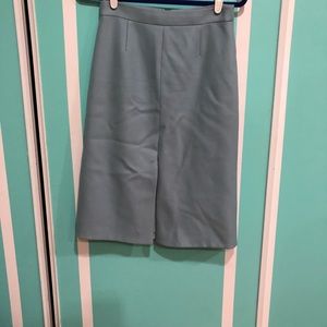 Jcrew skirt